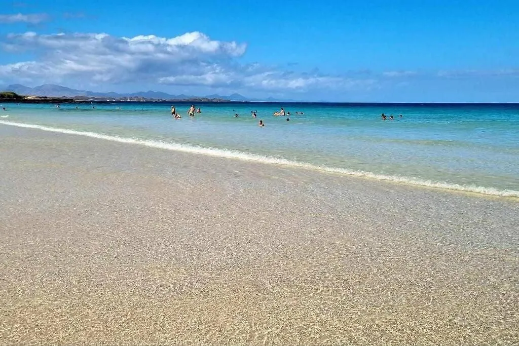 Apartamento Appartamento Frangipani Con Terrazza E Piscina Corralejo Espanha